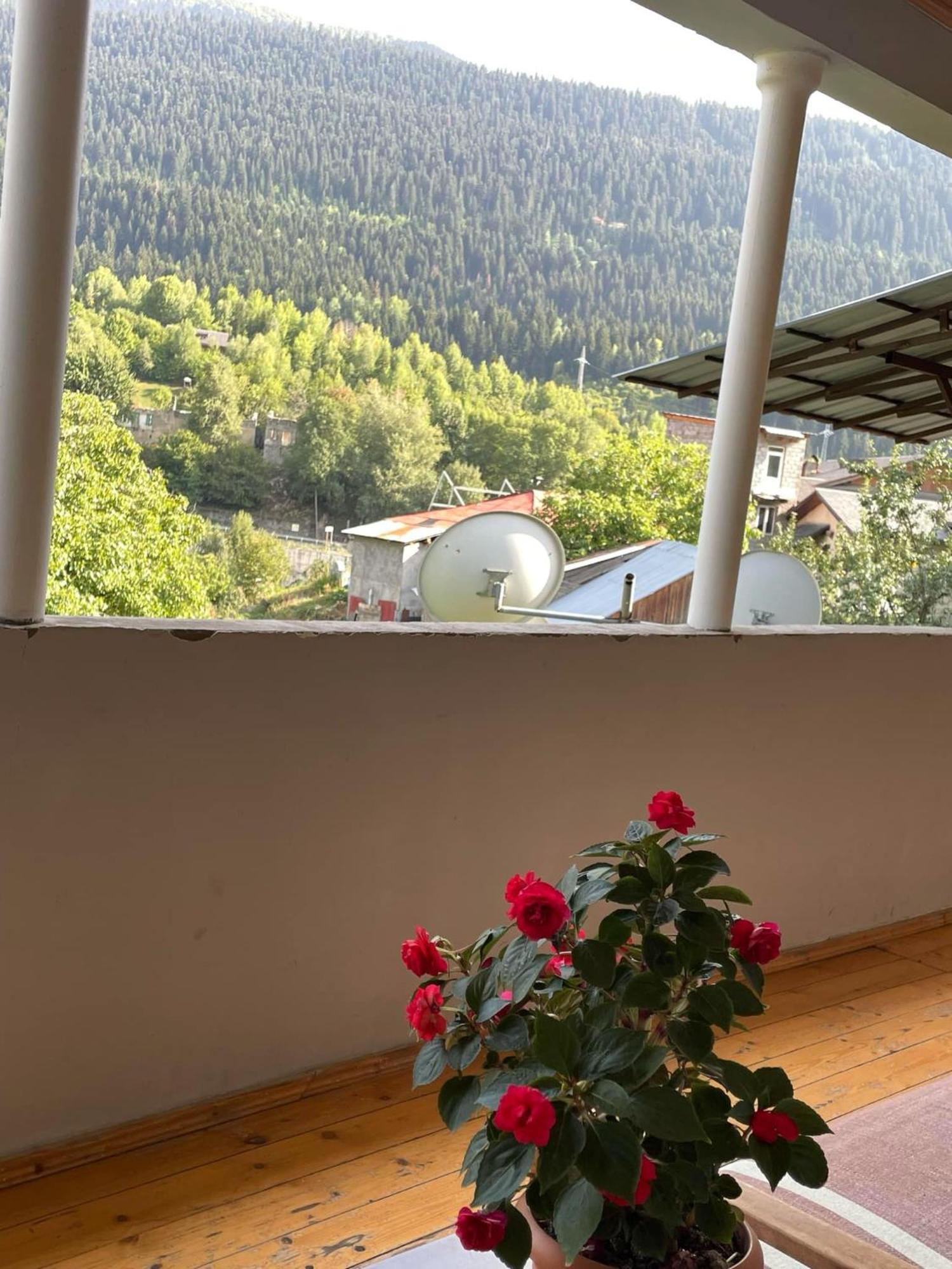 Guest House Nene Местія Екстер'єр фото